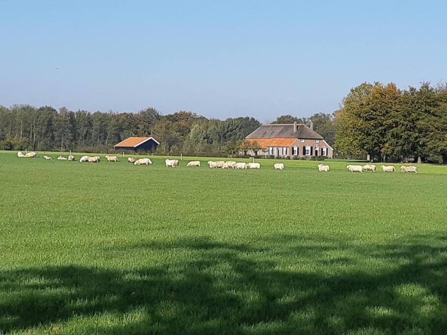 B&B Joostink In Vorden Esterno foto